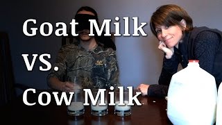 Blind Taste Test: Goat Milk vs Cow Milk