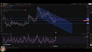 Dogecoin DOGE Price Rejected! Bearish Signal or New Lows?