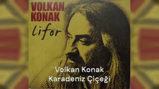 Volkan Konak - Karadeniz Çiçeği Resimi