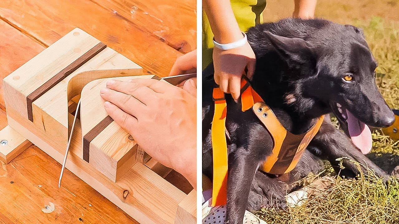 We Made A Wheelchair For A Disabled Dog DIY Houses For Dogs By Wood