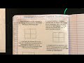 Mastering Monohybrid Punnett Squares in Genetics