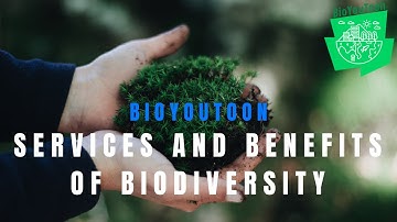 Services and Benefits of biodiversity | BioYouToon Toolkit Module 2 Teaser | EU Erasmus+ project