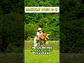 Insane Dog Frisbee Tricks 🐶 | Wait For The Backflip!#shorts #virak #dog #trending