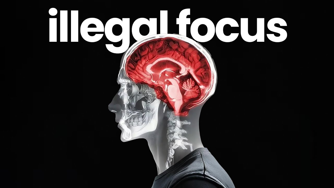 How to Be So Productive It Feels ILLEGAL (No Motivation Needed)