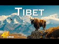 Tibet 4k drone   scenic relaxation film with epic cinematic music  4k ultra