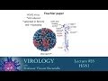 Virology 2014 lecture #25 - H5N1