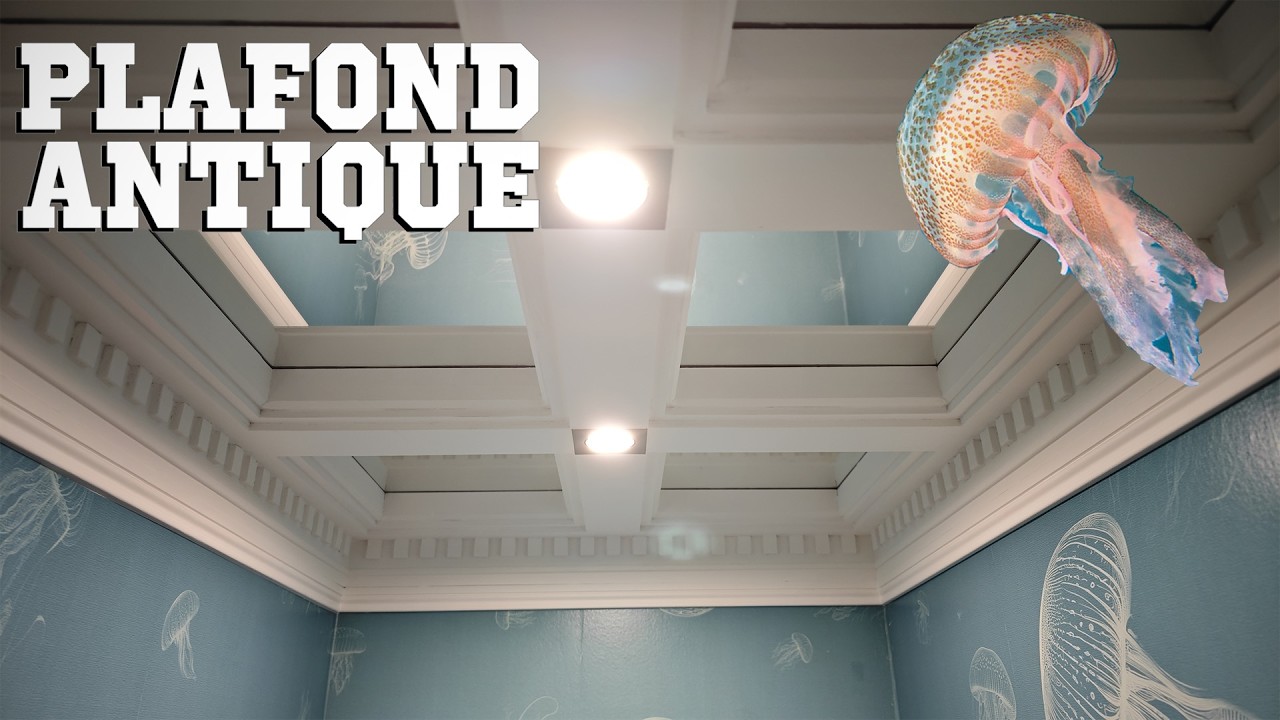 Ep71 - C'est Versailles ces WC ! Plafond à caisson miroirs + méduses // LA GRANGE EN RENOVATION