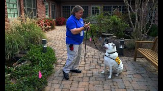 He's deaf. She's a sheriff's deputy. Together they bring 'peace and therapy' to Columbus, Georgia