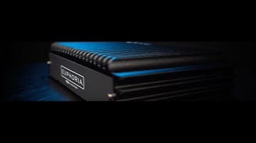 NEW 2025 EUPHORIA AMPLIFIERS