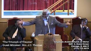 "The Triumph of Trauma"