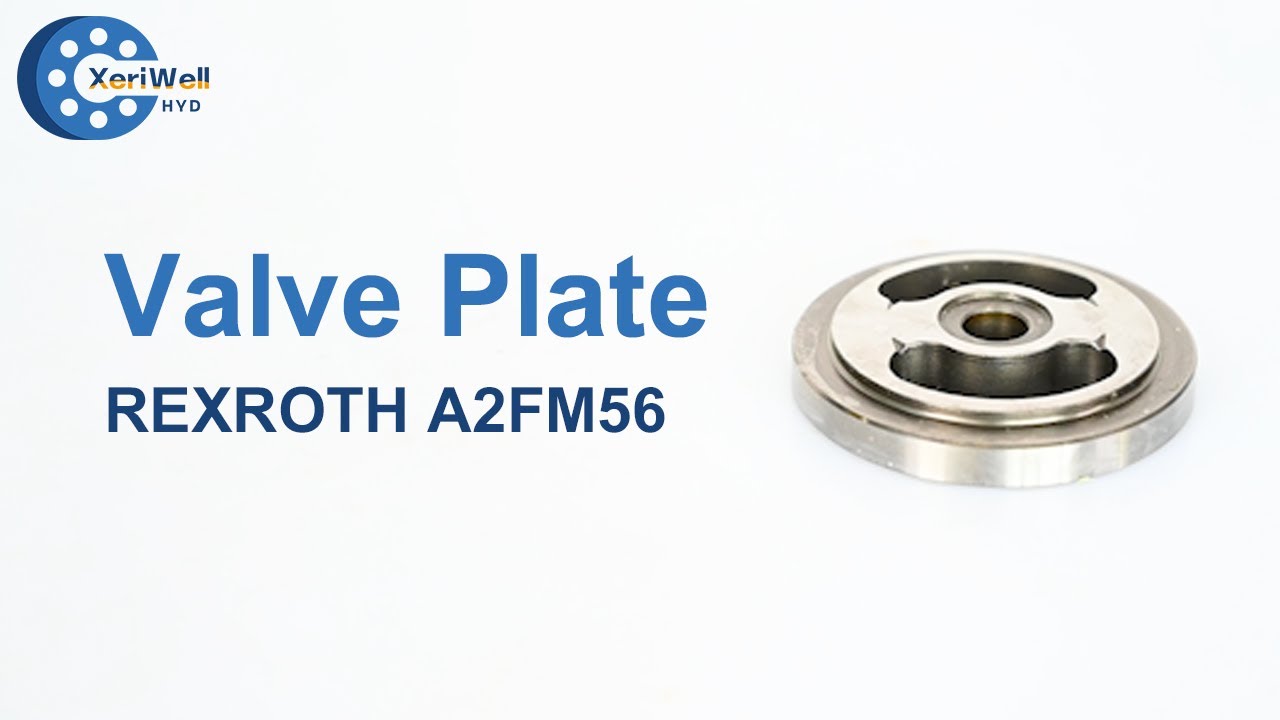 REXROTH A2FM56 Hydraulic Motor Spare Parts - Valve Plate