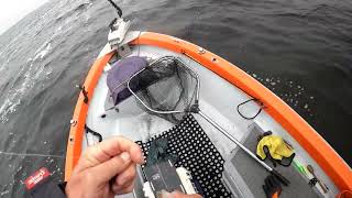 NARVAL Maxlug mini. Включать или выключать????