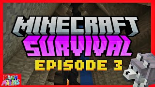The Ravine | Minecraft Survival Ep #3