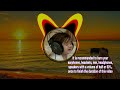 Burn In Your Earphones Headsets Iem Complete Low Mid High 1hour Audio Lover S Recommendation 