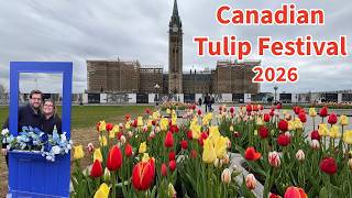 The BEST Tulip Spots in Ottawa | Exploring the Canadian Tulip Festival 2026 🌷Ottawa, Ontario