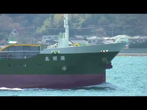 陽照丸＆光輝丸