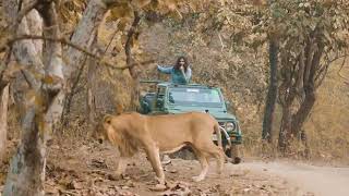 SASAN Gir 🦁 screenshot 4