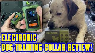 Ultimate Easy To Use Dog Training e-Collar Unboxing Review and Testing!