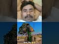 #farming #Nishu bhai ka stant#
