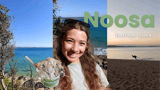 Kangaroos, Beach & Surfing in Noosa 🦘 | East Coast pt. 4