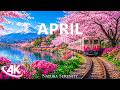 Spring Awakens in 4K 🌸 Blooming Landscapes, Fresh Green Fields &amp; Relaxing Piano Melodies