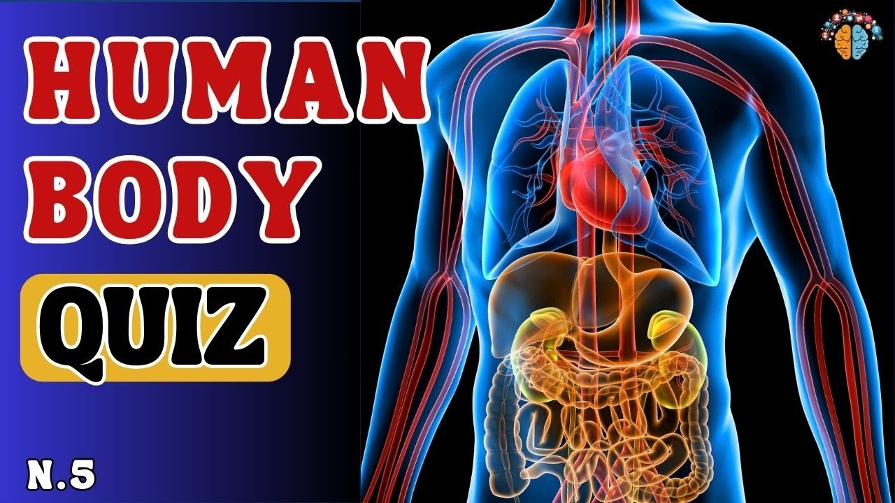 💊 Can You Pass This Human Body Quiz Medicine Trivia ⚕️#5 - YouTube