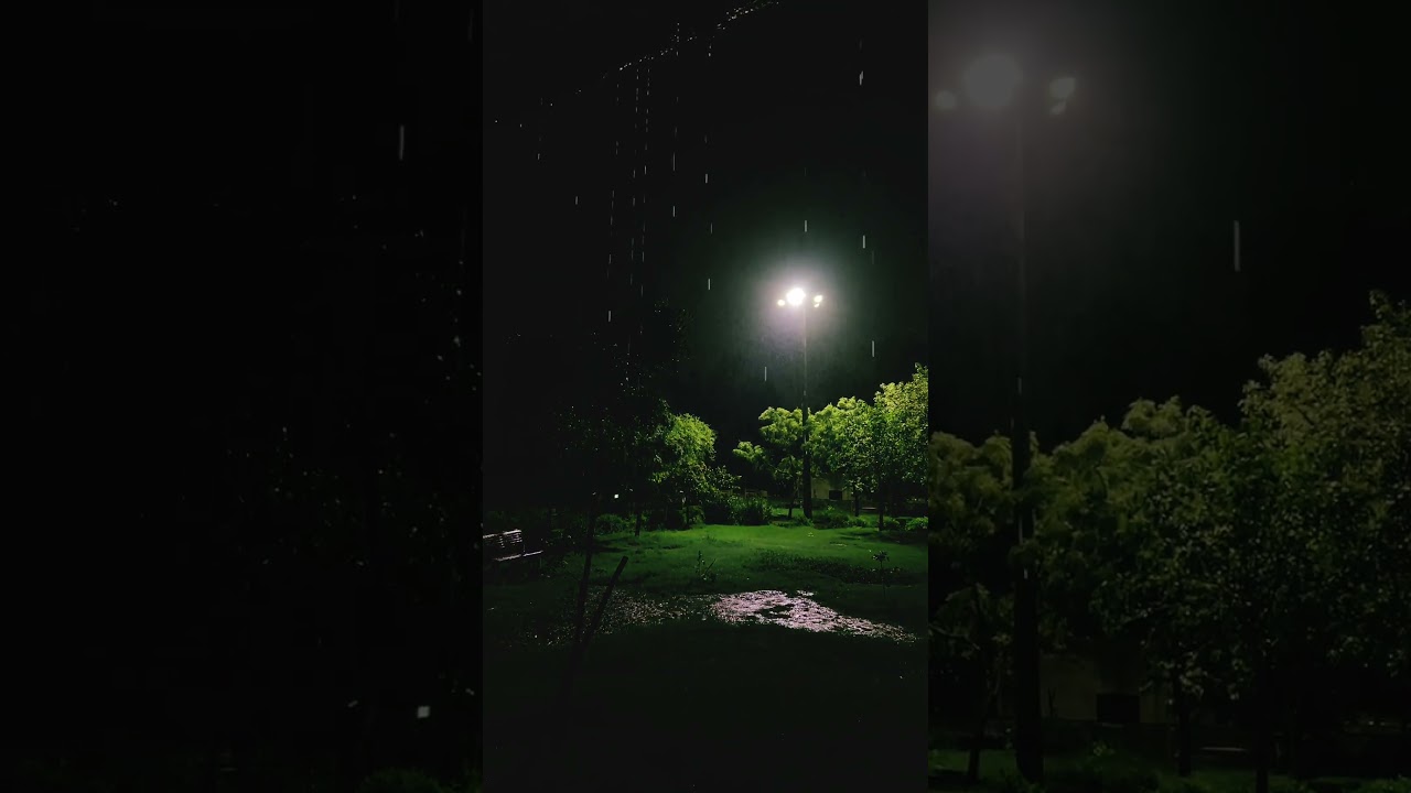 #shortvideo #slowed #greenliving #delhi #mosamkhabray #music #funny #remix #comedy #subscribe #new