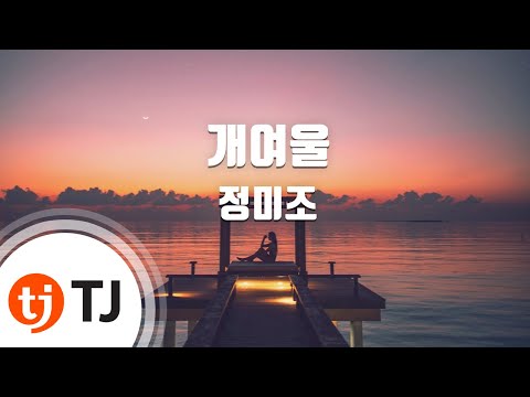 [TJ노래방] 개여울 - 정미조 / TJ Karaoke