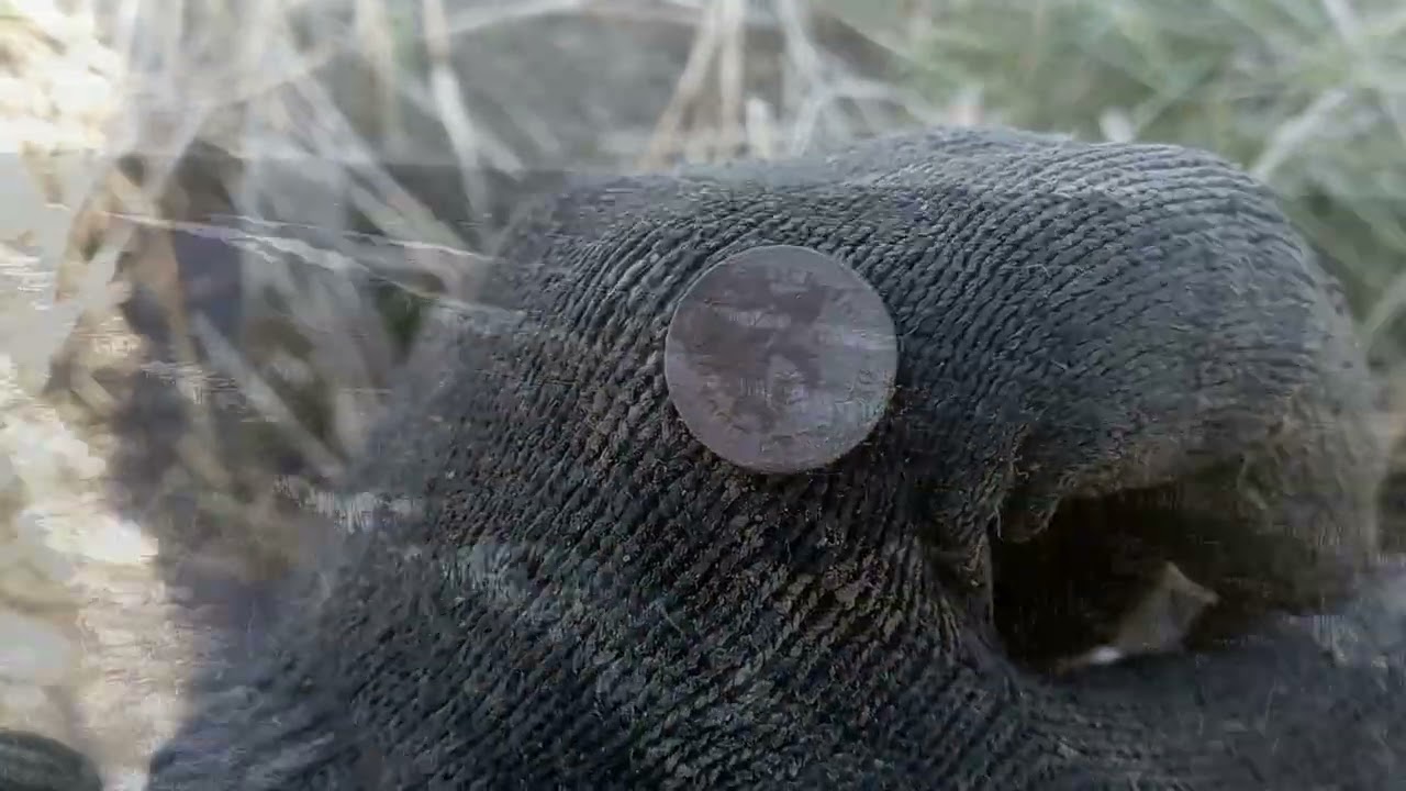 Коп Калининград Весна 2026!!!