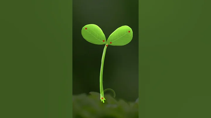 After Effects Bendio Plugin Easy bend Animation #shorts #aftereffects