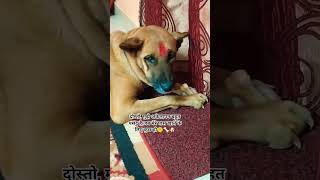 मक क अकलपन पसद ह