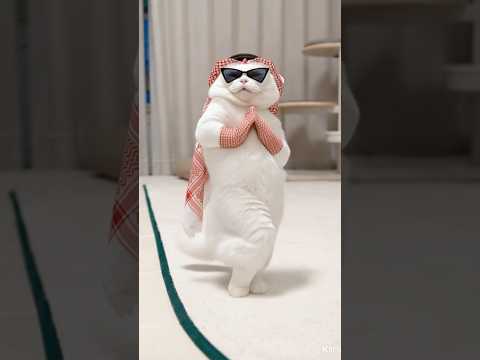 춤선 지렸다.... 사달라는데 안 사줄 수 있는 사람?