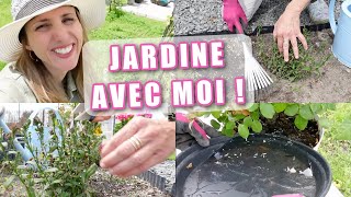 👩🏼‍🌾 Jardin Vlog #5  Ça pousse et on s'en occupe ! Pelouse, fleurs, potager...