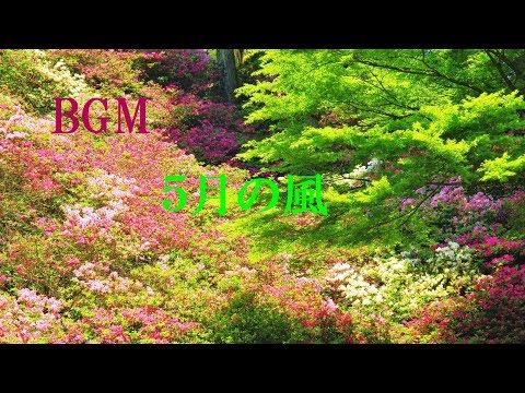 フリーBGM 5月の風 