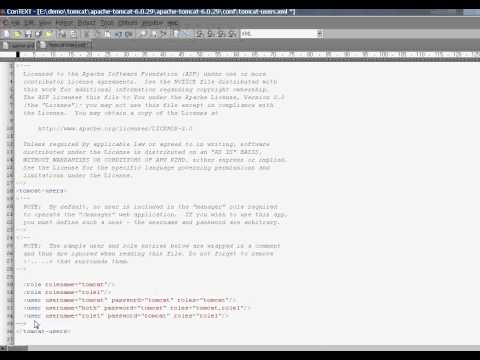 Install DNet :  Install Tomcat 6 on Windows