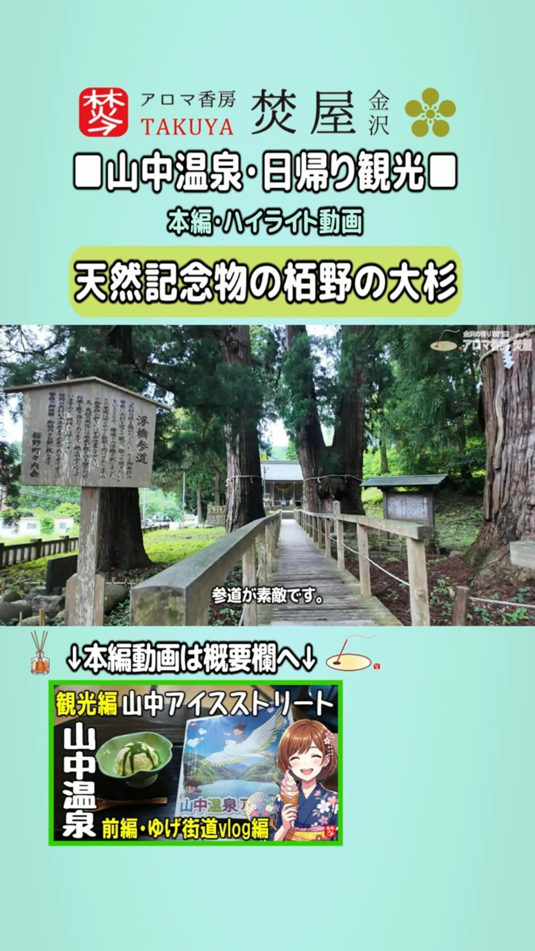 The Great Japanese Cedar of Kayano: A Healing Walk to a National