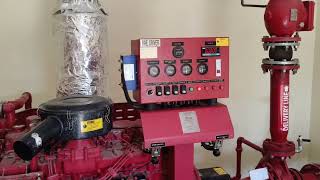 Fire pump detailed description by Engineers Guide 