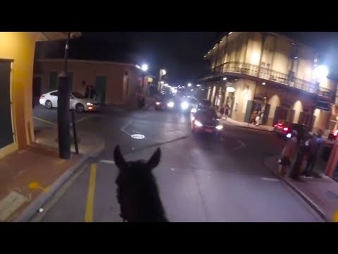 Video: Mounted Police Officer Stops To Play A Game Of HORSE