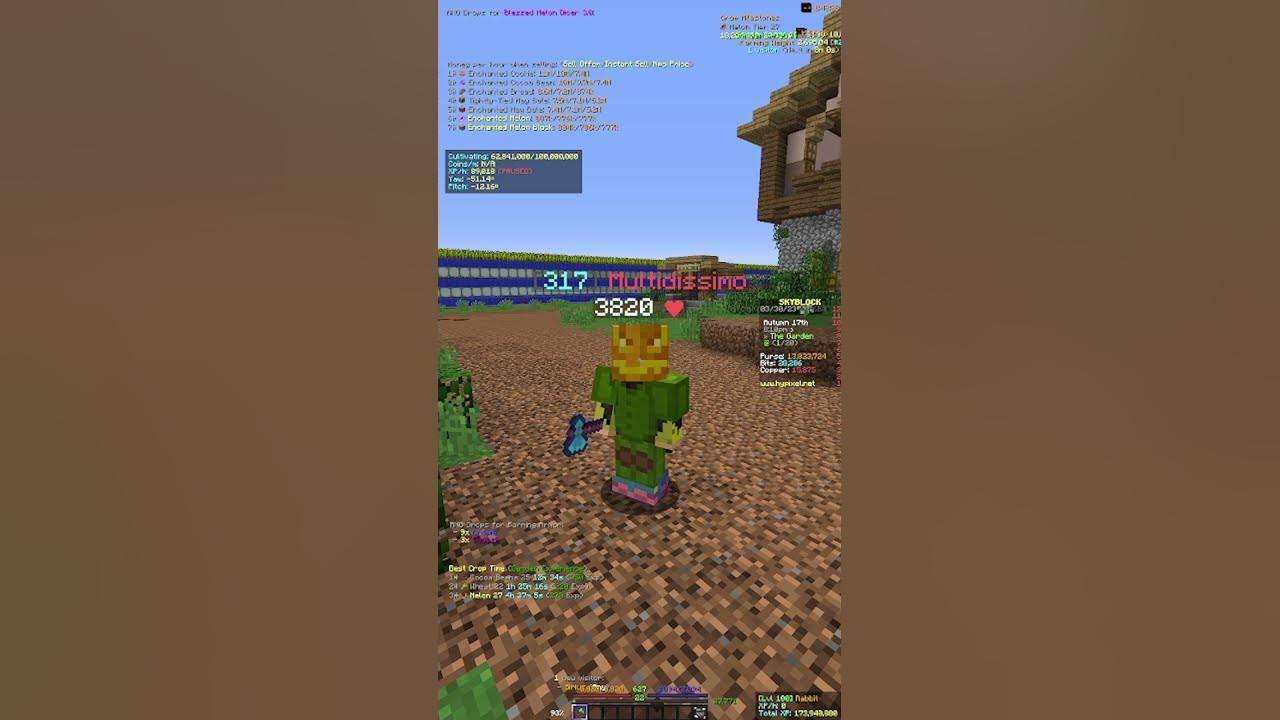 Die BESTEN CROPS für COINS in Hypixel Skyblock YouTube
