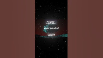 سورة الأنبياء|35-37|القارئ:#محمد_اللحيدان #قران #quran #راحة_نفسية#قران_كريم#تلاوة_هادئة#تلاوة_خاشعة