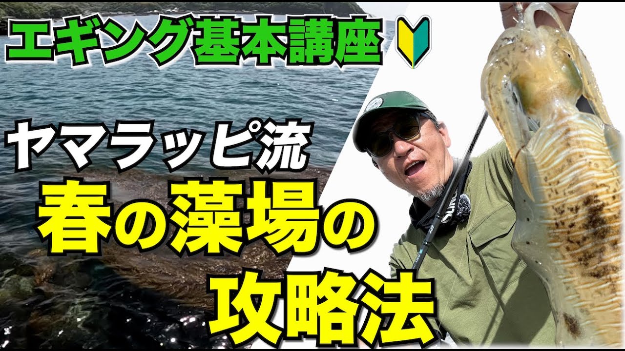 【エギングテクニック】 春イカシーズン必見！藻場の攻略法をプロが教えます