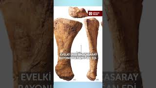 2025 Senesi Qırımda Tapılğan Nesneler