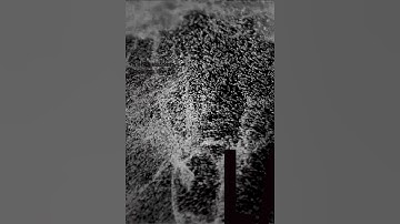 into the simulacre - la #touchdesigner #mediaart #soundart #particle