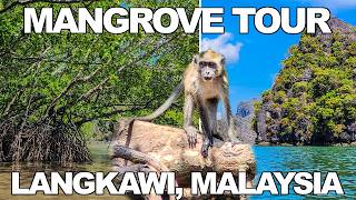 Mangrove Tour in LANGKAWI, MALAYSIA