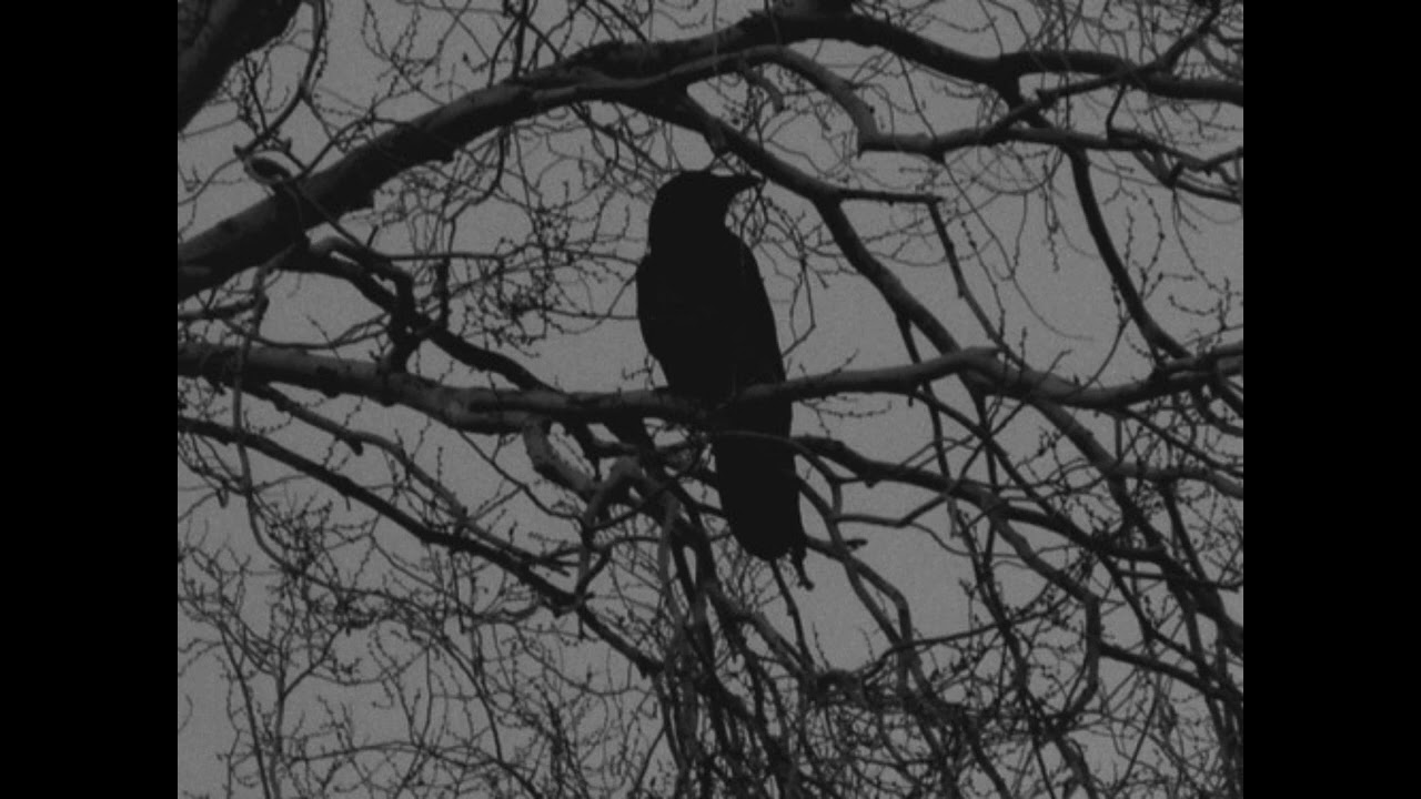 [FREE] A$HE$ TYPE BEAT - "DUKE NUKE EM"