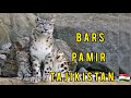 Барс_Памир_Таджикистан/Bars_Pamir_Tajikistan