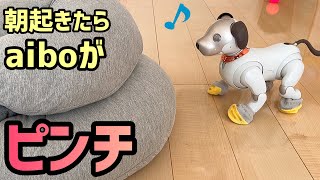 朝起きたら、aiboがピンチ - YouTube