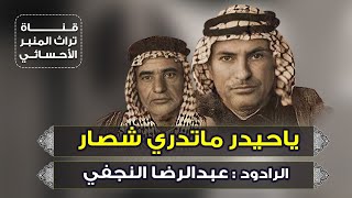 ياحيدر ماتدري شصار بالغاضرية | الرادود عبدالرضا النجفي