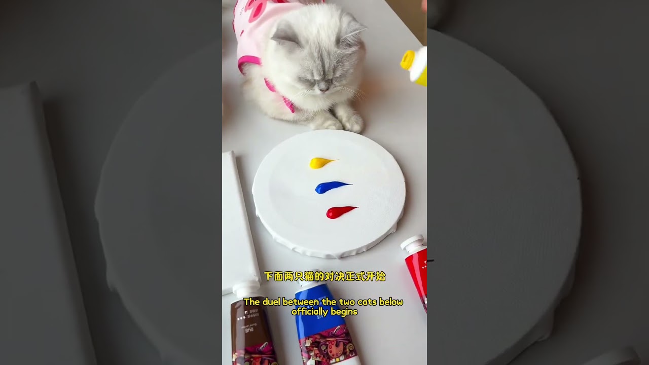 🐱Whose work do you like more this time 🥰 