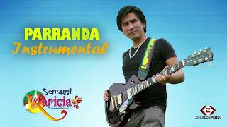 Video thumbnail of "Mix Shanty - Parranda Instrumental - Sensual Karicia 2015"